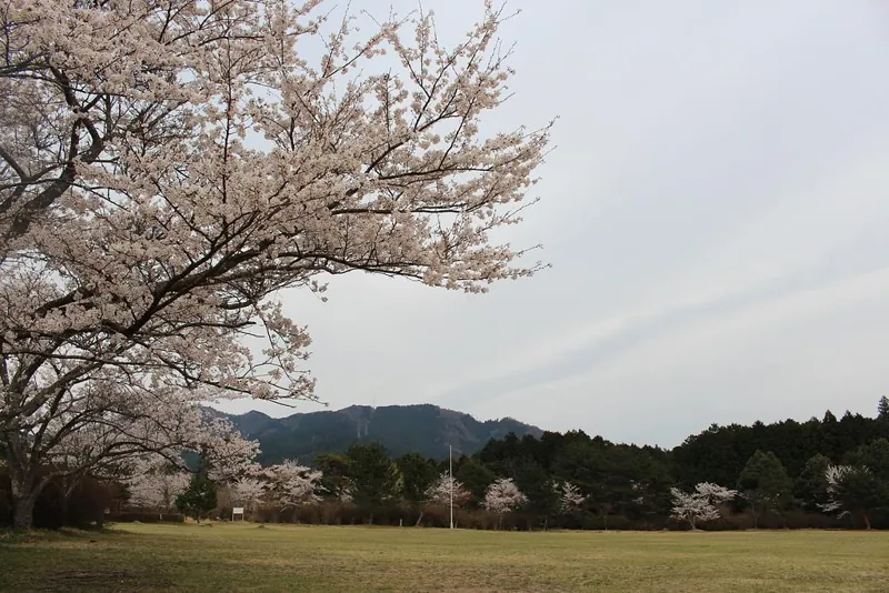 余野公園