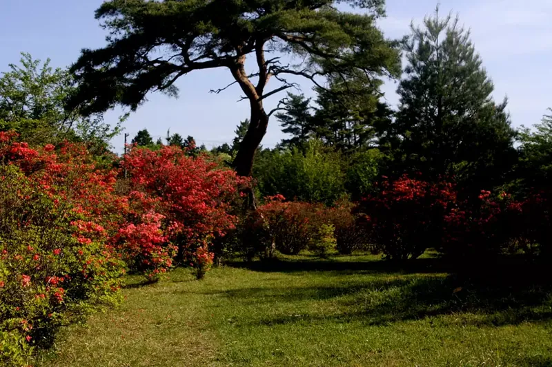 余野公園 2