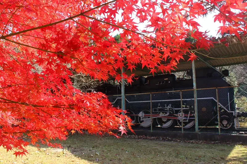 余野公園 3