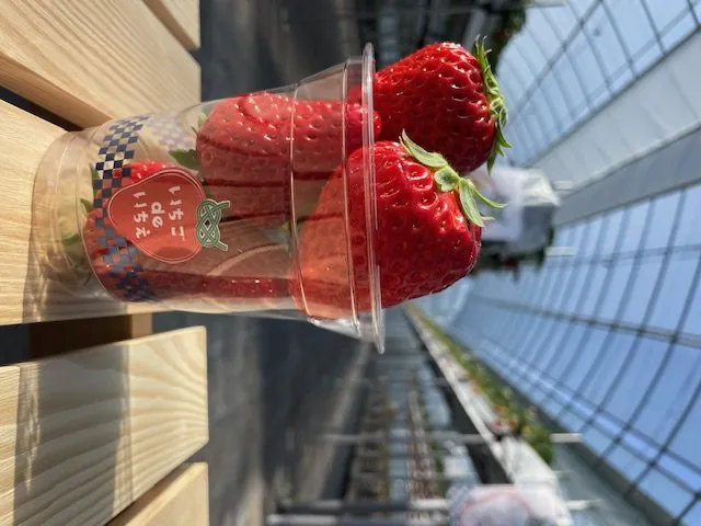 いちごdeいちえ 3