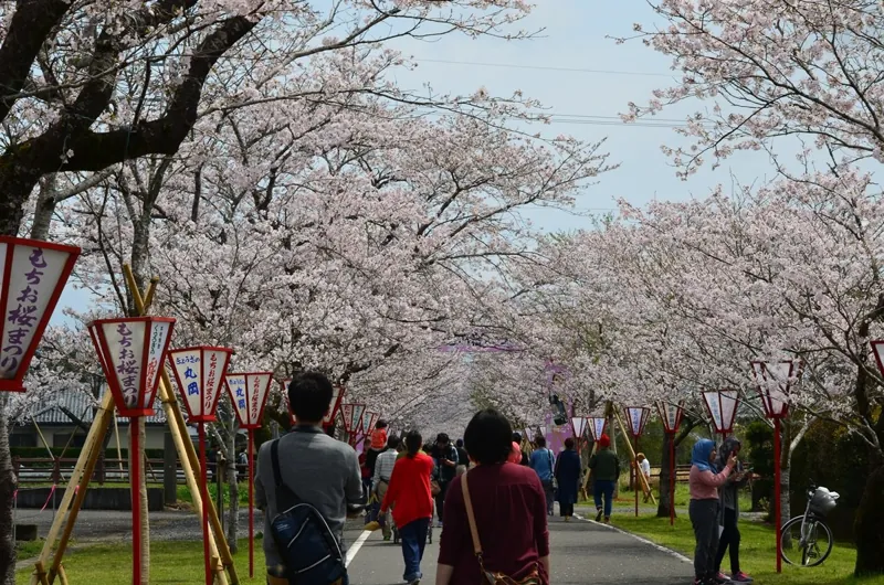 母智丘公園 2