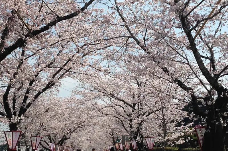 母智丘公園 3