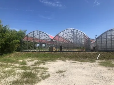いちご狩り農園 苺香 3