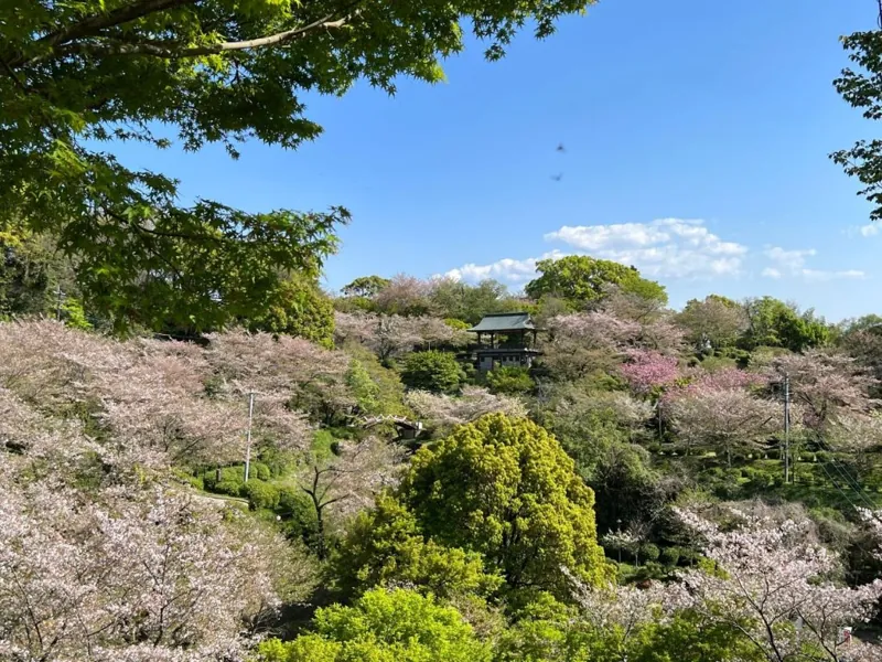 菊池公園