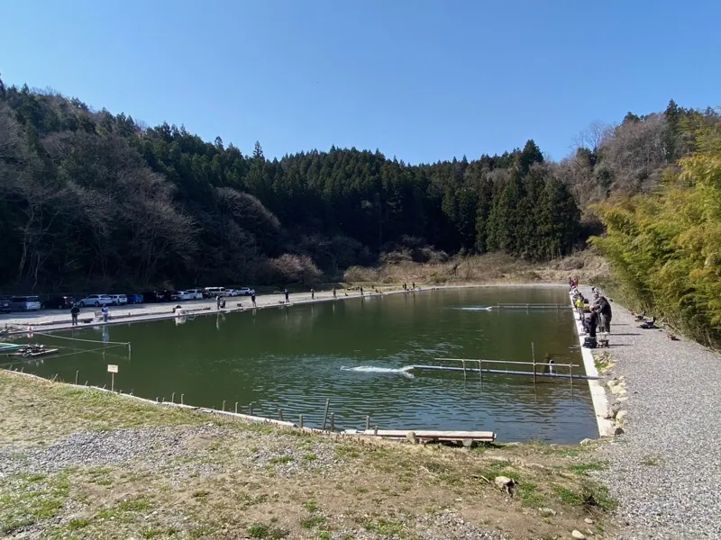 ウェルカムオーパ