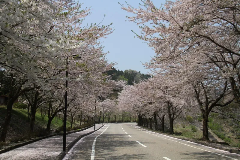 ふれあいの森