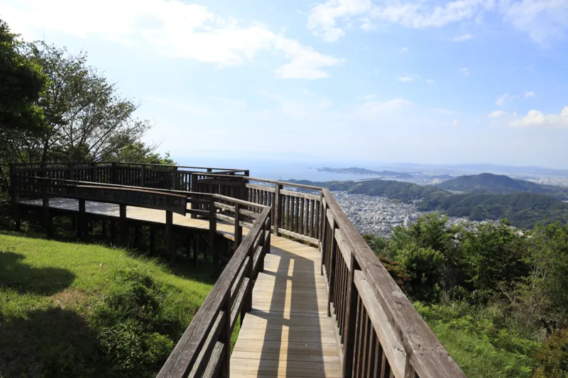 森林公園雨の森
