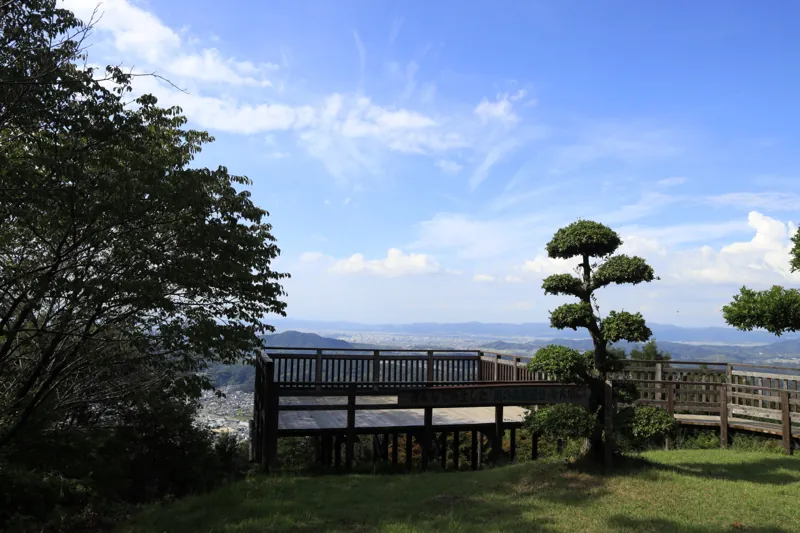 森林公園雨の森 2