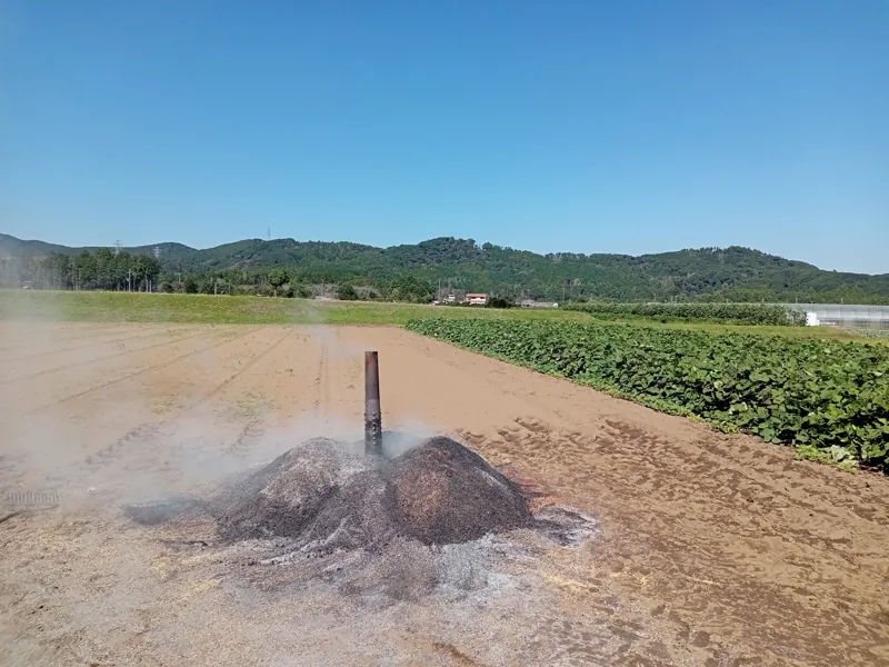 カズサの郷 愛彩畑 1