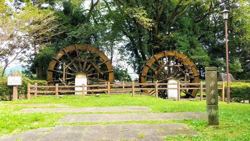 杉並木公園