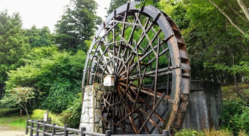 杉並木公園 2