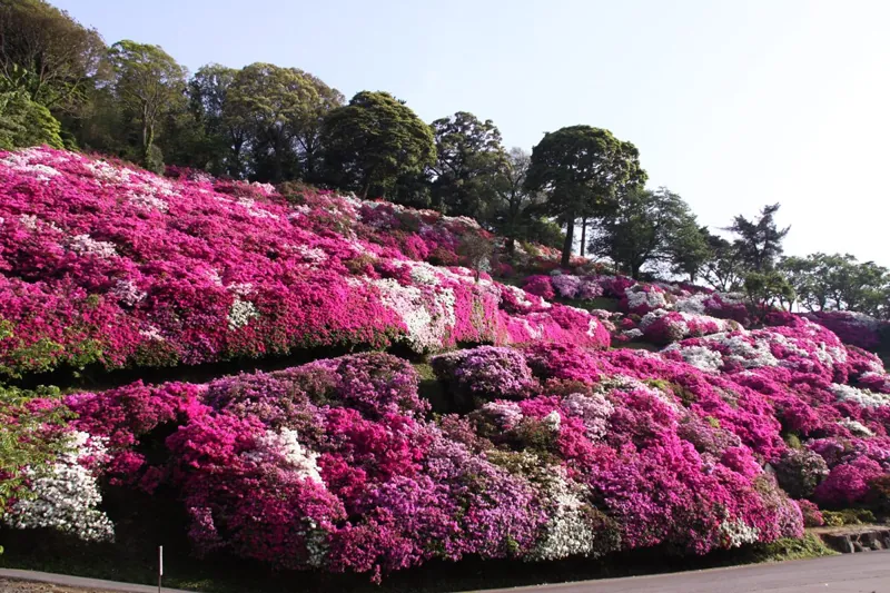 三隅公園 3