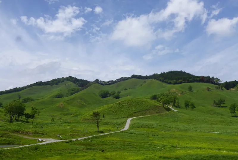 砥峰高原