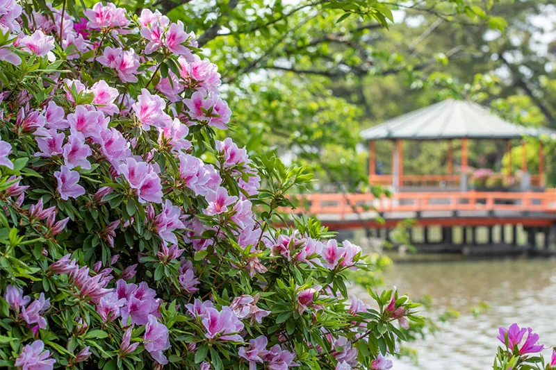 九華公園