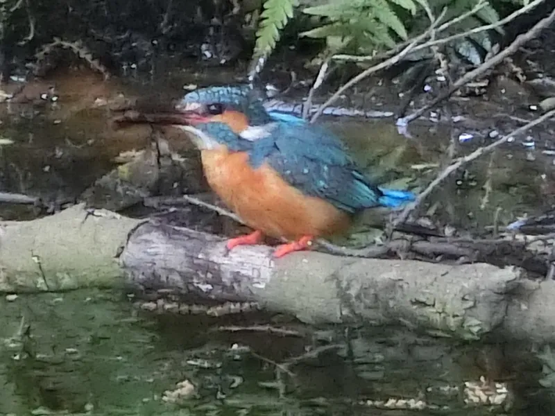 遠藤笹窪谷公園 3