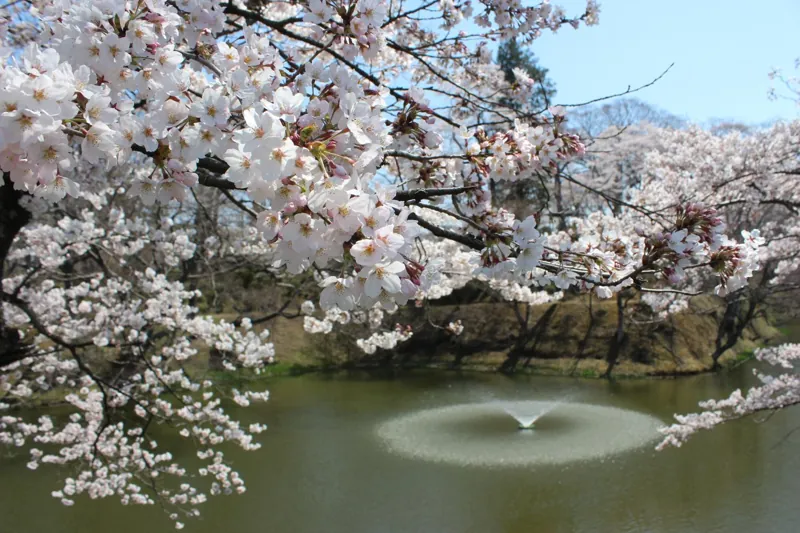 亀ヶ城公園(棚倉城跡)