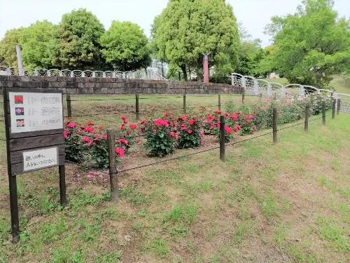 七井戸公園