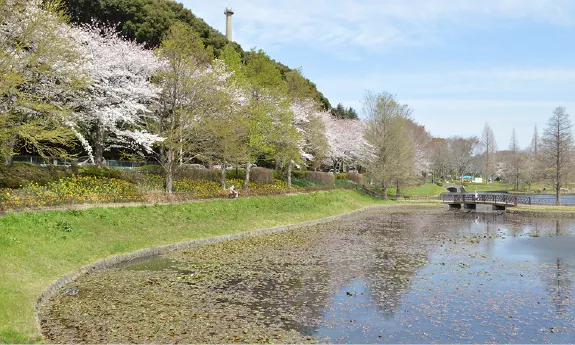 萱田地区公園 3