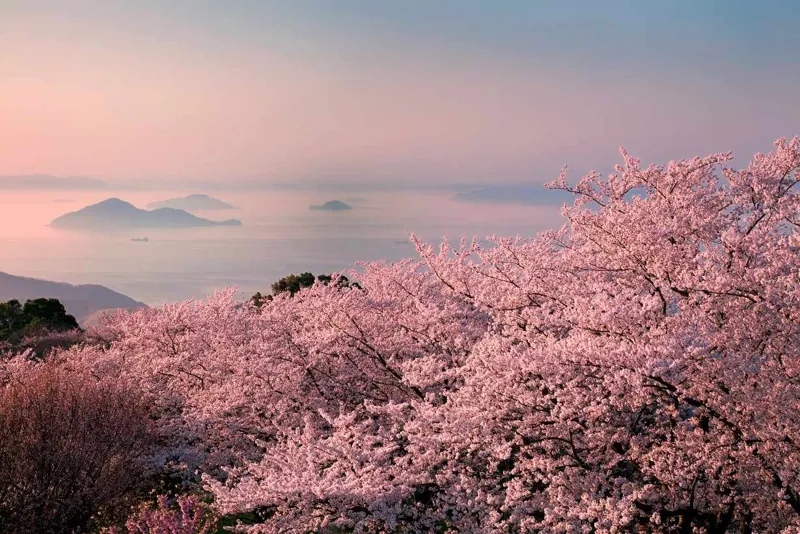 紫雲出山