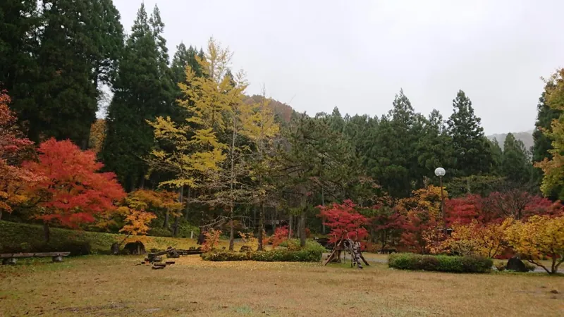 石川県県民の森 2