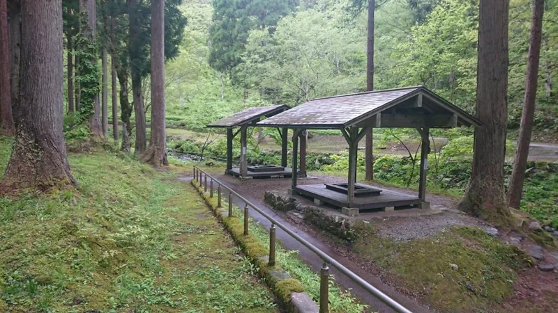 石川県県民の森 3