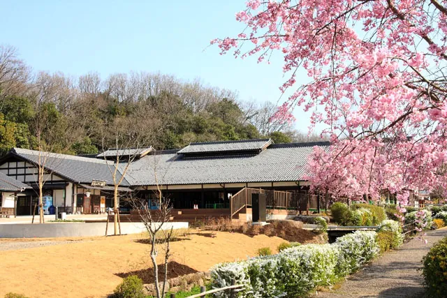 道の駅 みのかも