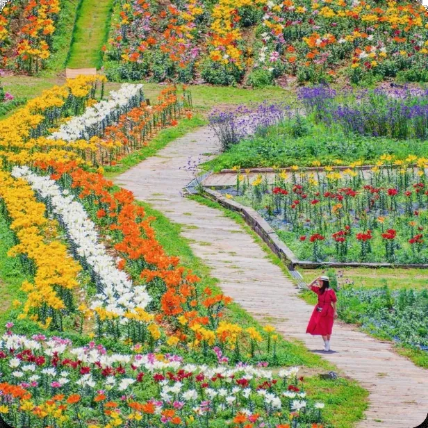 花の駅せら 2