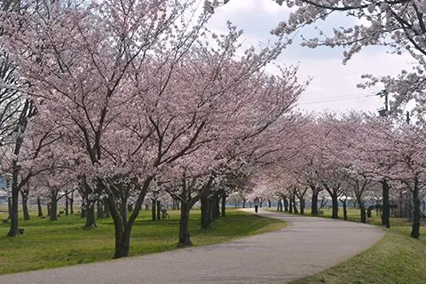 木場潟公園 2
