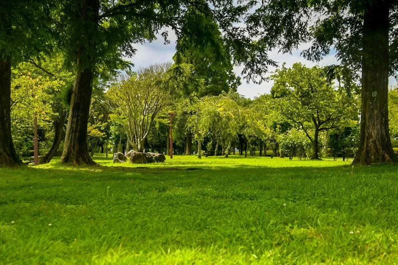 神山自然公園