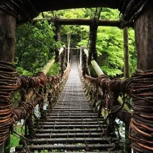 祖谷ふれあい公園 3