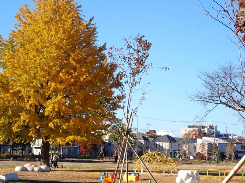 高井戸公園 3
