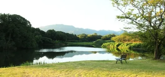 福津市総合運動公園 なまずの郷 3