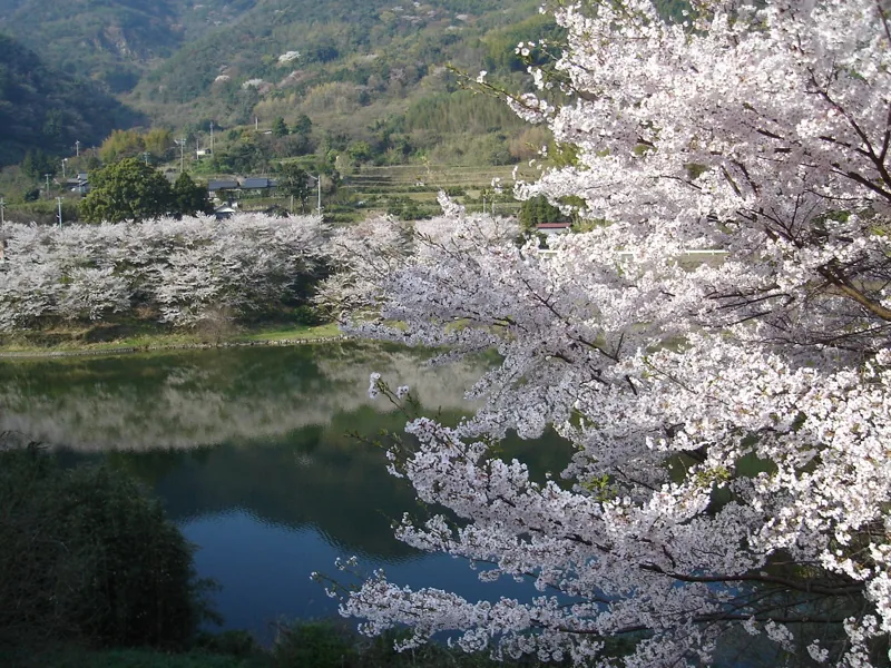 屋代ダム公園