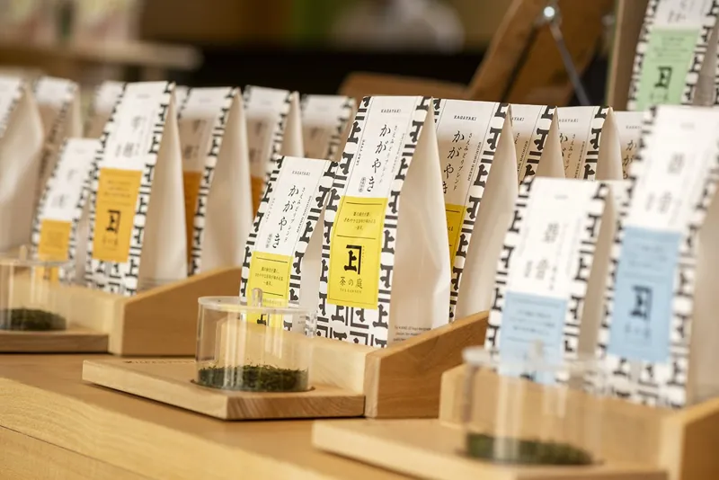 茶の庭 1