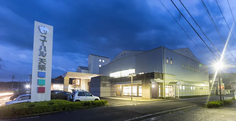 東舘温泉 ユーパル矢祭