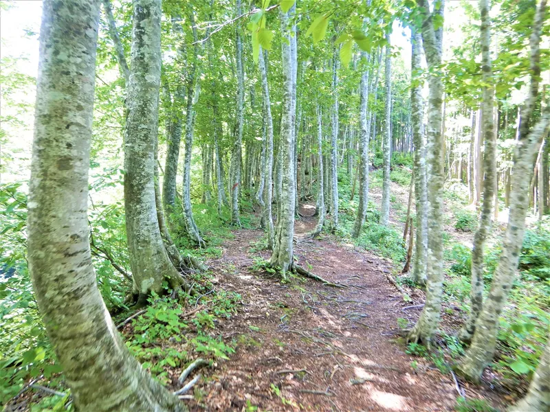 八塩山
