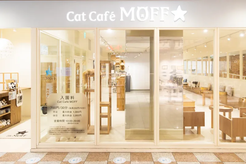 Cat Café MOFF つかしん店