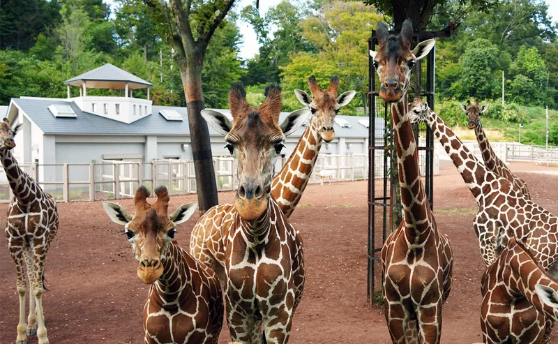 多摩動物公園