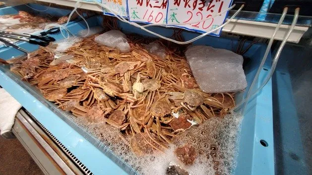 道の駅 きなんせ岩美 2