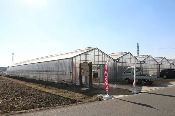 川越いちご園 すじの