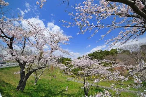 君ヶ岡公園