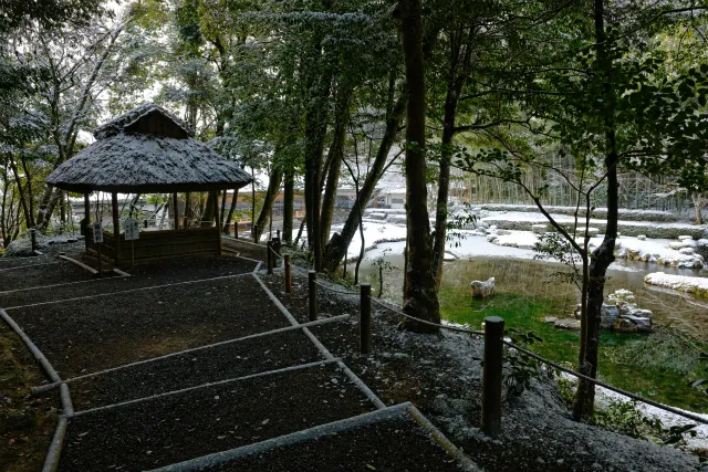常栄寺雪舟庭 2