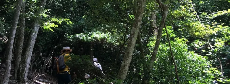 兵庫県立ささやまの森公園 2