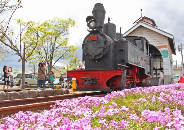 河北中央公園