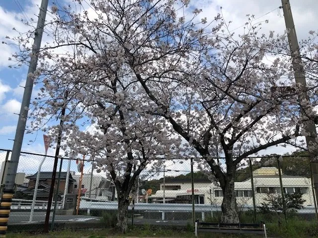 宮西公園 2