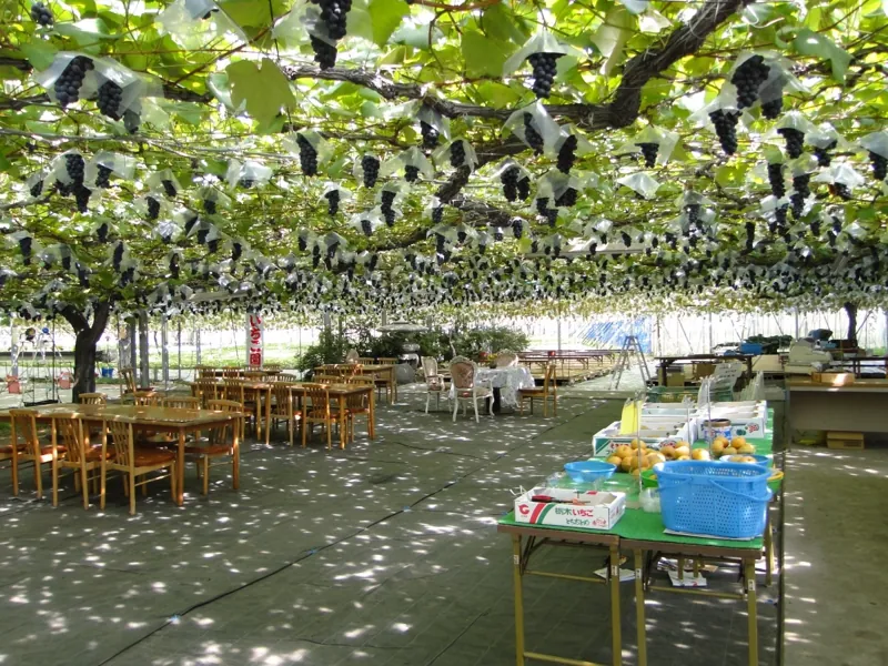 池田観光果樹園
