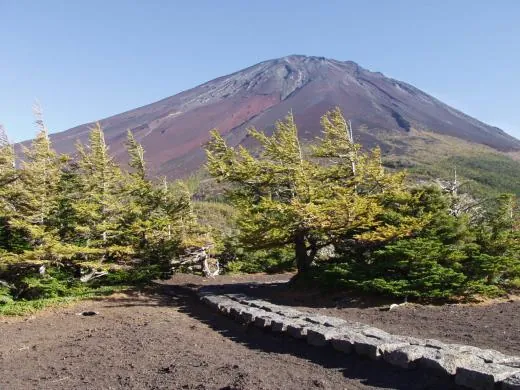 奥庭自然公園（富士山）