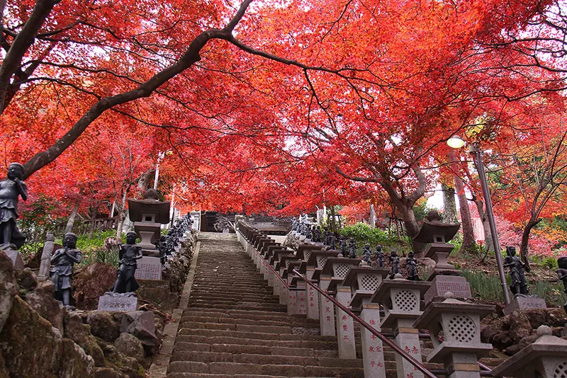 大山寺 2