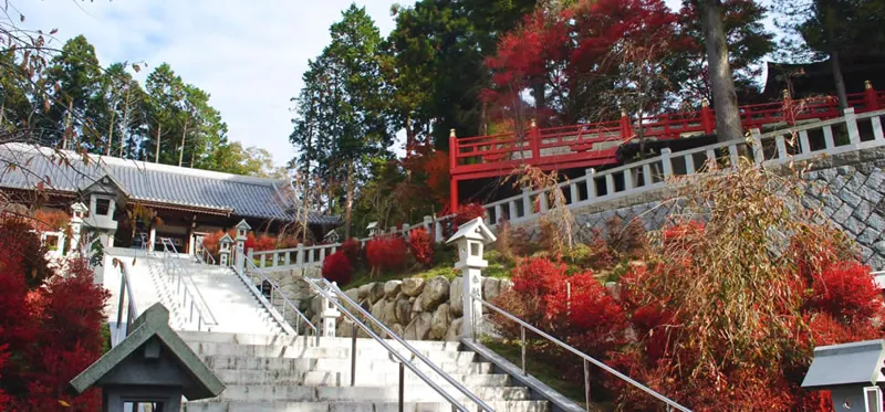 呑山観音寺