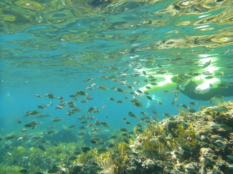 のと海洋ふれあいセンター